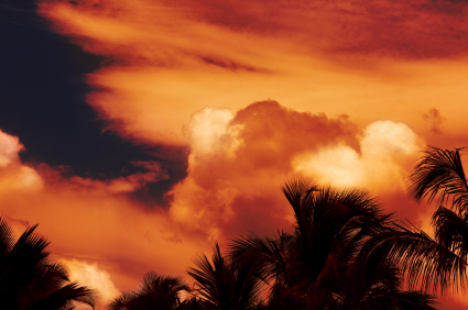 Lessons From Necker Island Fire