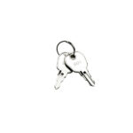Haes 801 Spare Door Key