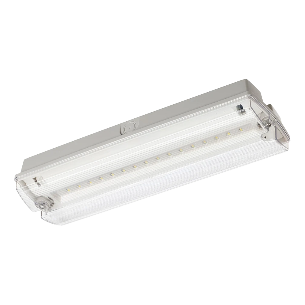 Vanguard 300 High Output Emergency Selt Test Bulkhead