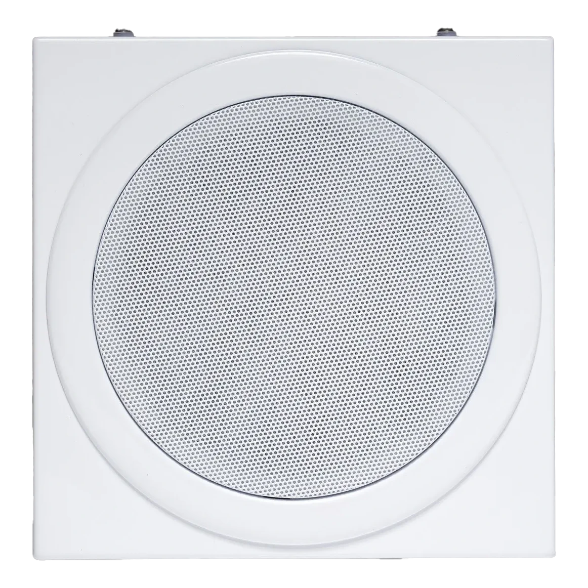 Unicorn Voice Cabinet Speaker